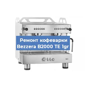 Замена фильтра на кофемашине Bezzera B2000 TE 1gr в Екатеринбурге